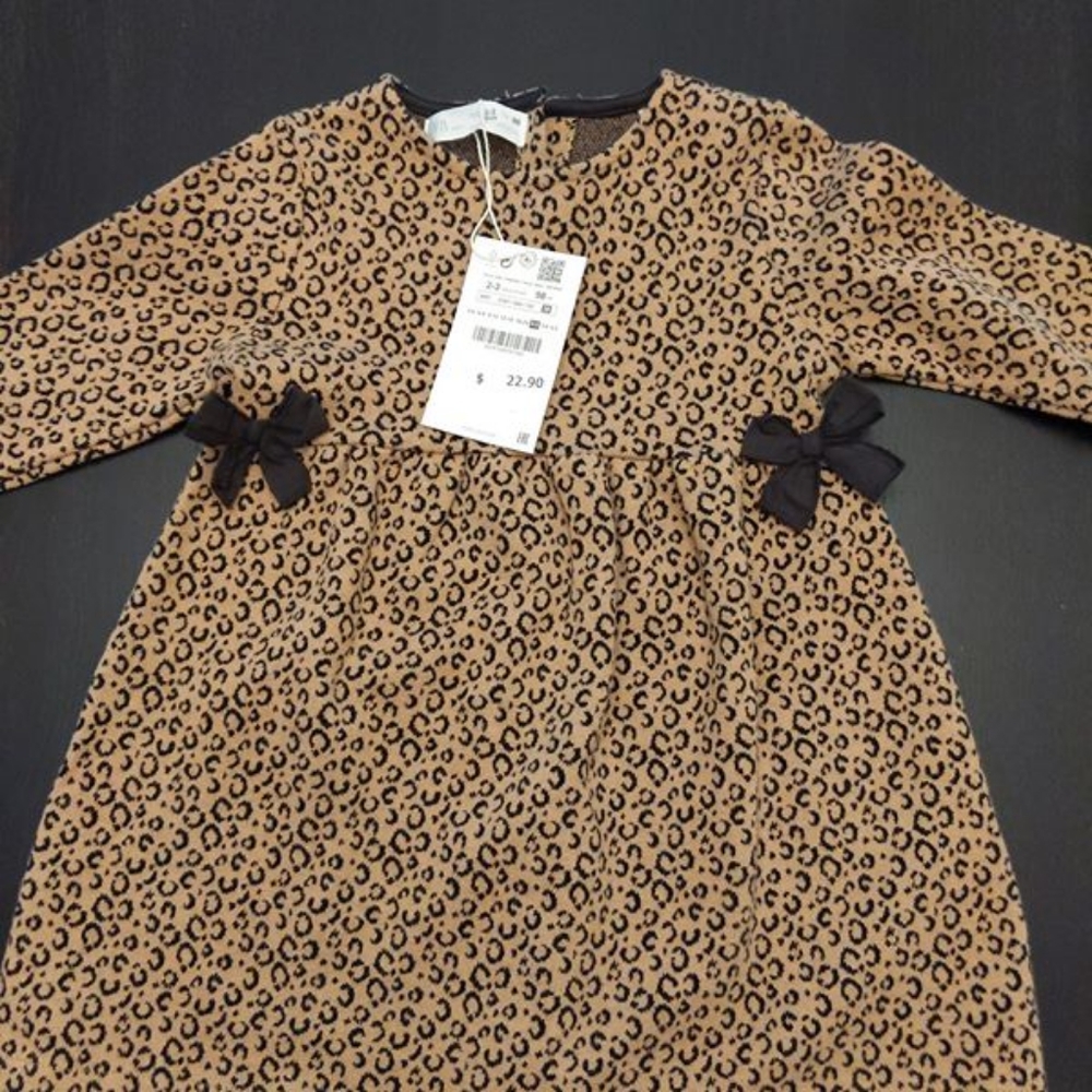 NWT Zara baby dress